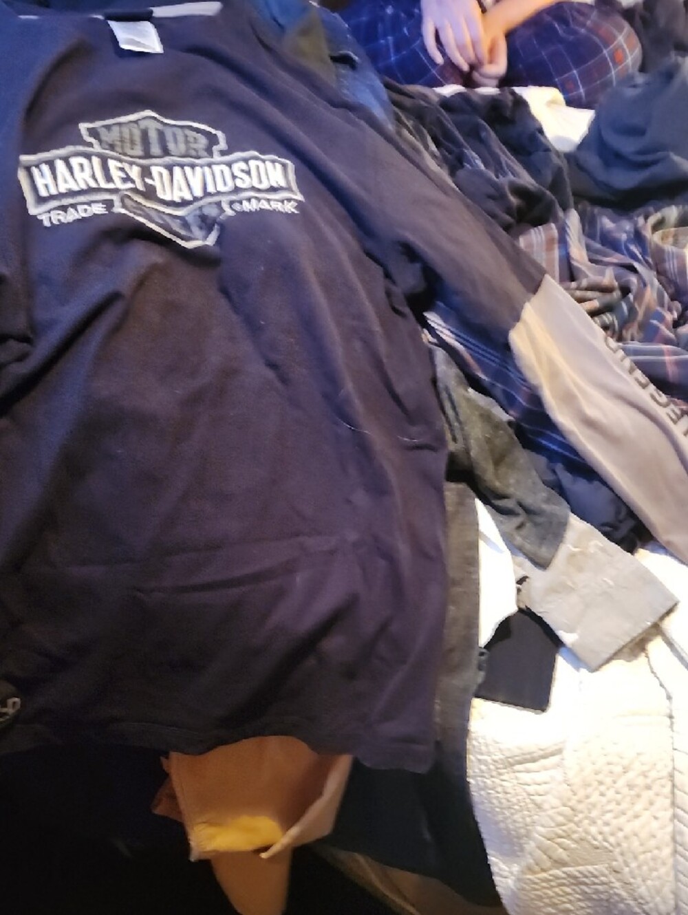 Harley-Davidson Black T-Shirt with Gold Logo - Picture 3 of 4